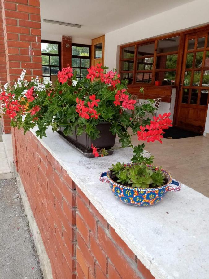 Apartman Dunja I Milos موكرا غورا المظهر الخارجي الصورة